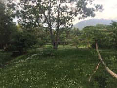-三亚亚龙湾红树林度假酒店