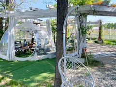 -安德鲁户外烧烤帐篷营地(马泉营店)