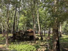 -秦皇岛野生动物园