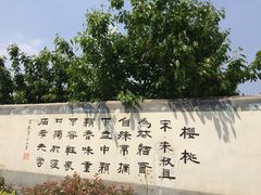 -樱桃沟景区