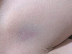 -赛卡联盟WSK卡丁车俱乐部