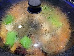 -挂雪铁锅炖大鹅