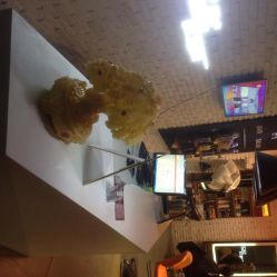 米几美发公社-MAGIC米几发型设计·羊毛卷