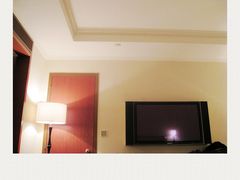 王府半岛酒店5-王府半岛酒店