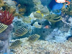 -福州罗源湾海洋世界旅游区