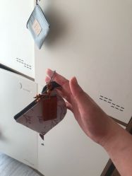 -至臻康妍健康管理中心