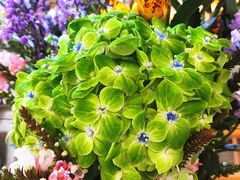 -今日陶艺(富力广场店)