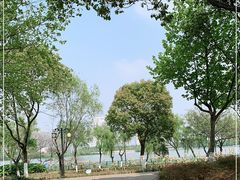 -金银湖国家城市湿地公园