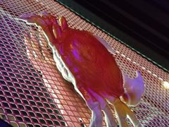 -胖哥俩肉蟹煲(萧山加州阳光店)