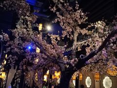 -绿茶餐厅(朝阳大悦城店)
