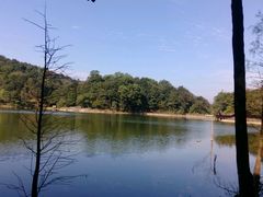-广州市石门国家森林公园