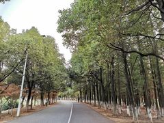 -艾溪湖湿地公园