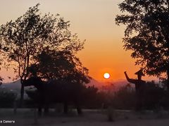 -北京西山国家森林公园