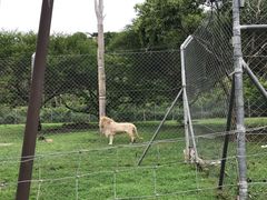-卡塞拉自然公园