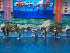 -多彩贵州城极地海洋世界