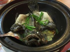 -ZF Seafood Restaurant 卓峰海鲜餐