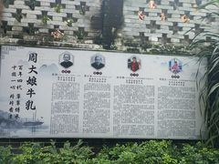 -周大娘牛乳(旧寨古村总店)