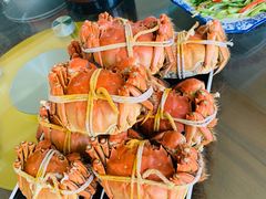 -七的湖·晚芳亭·阳澄湖农家菜·大闸蟹(莲花岛店)