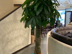 -鹈鹕素食餐厅自助餐部(正阳街店)