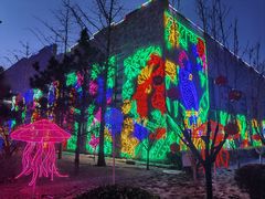 -南宫五洲植物乐园