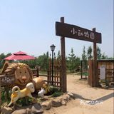绿野仙踪，六一带孩子去探索田园乐趣吧！