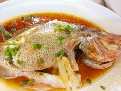 清蒸海鱼-明记海鲜大排档(巽寮湾店)