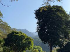 -梧桐山风景名胜区