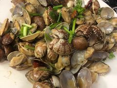 辣炒蛤蜊-1910老鲁味海鲜·戳子肉·青岛菜(金沙滩店)