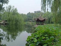 -昆山城市生态森林公园