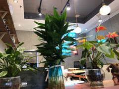 -井圣日膳(万达店)