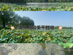 -浙江大学(紫金港校区)
