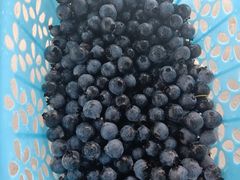 -金谷域澳洲庄园