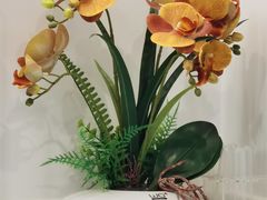 -医济堂·中医养生·经络理疗(凤凰西街店)