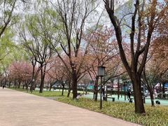 -唐城墙遗址公园