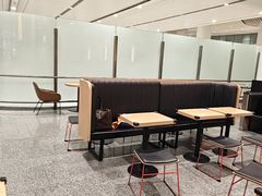 -麦当劳(北京大兴机场二层国内到达(安检外)店)