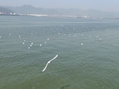 -海埂大坝