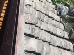 -南汇桃花村