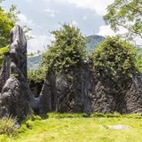 贺州玉石林里都是“玉”