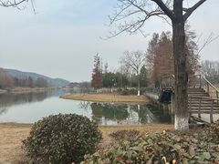 -长广溪湿地公园