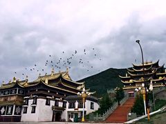 -黄河九曲第一湾