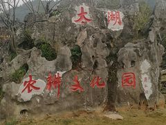 -长兴慧子土特产茶行