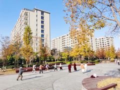 -梧桐人家中国太平国际健康颐养社区