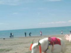 -青海湖国家重点风景名胜区