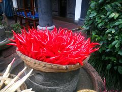 -王家渡火锅(三苏祠店)