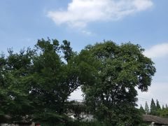 -大叔家福鼎小吃(十全街店)