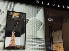 门面-BLACKSWAN黑天鹅(环球店)