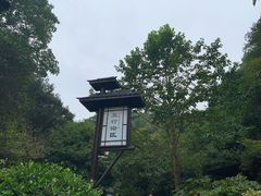 -明月山天沐温泉度假村