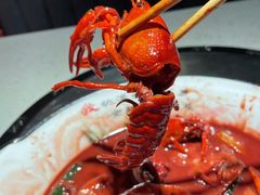 -京韵胡同·酱香羊蝎子火锅涮肉(长寿路店)