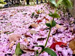 -苏州河梦清园环保主题公园