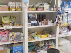 -米苏动物医院·犬猫专科·骨科外科内窥镜